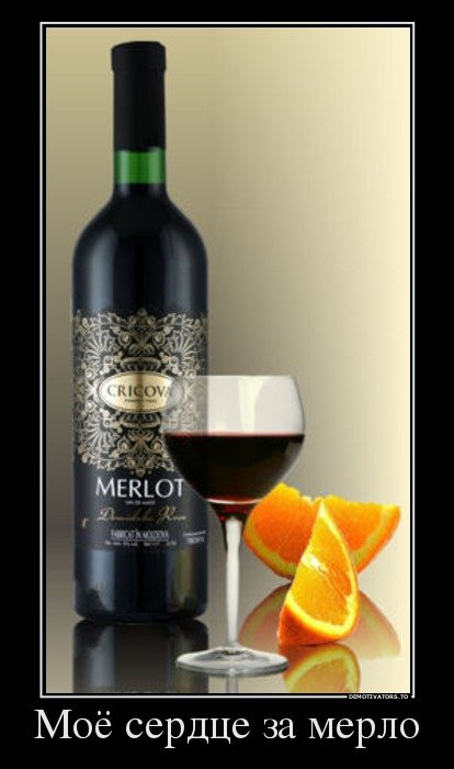 Демотиваторы-приколы для настроения (12 шт) Демотиваторы-приколы для настроения (12 шт)