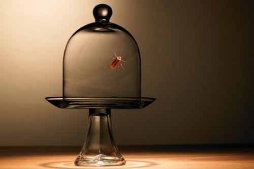 Топ-10 Невероятно странных и уникальных музеев