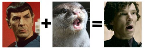 Забавное смешение знаменитостей (18 фото)