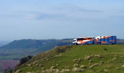 Топ-25 самых эксцентричных и уникальных отелей на Земле