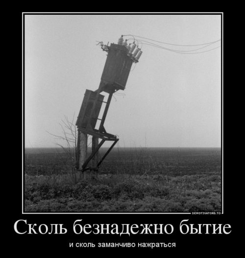 1393406184_demki-3.jpg