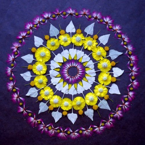 Цветочные мандалы Кэти Клейн (18 фото)