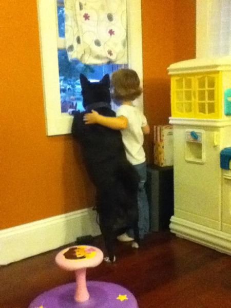 Лучшие друзья навеки (16 фото) Лучшие друзья навеки (16 фото)