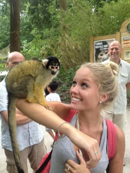 Симпатичные девушки (24 фото) Симпатичные девушки (24 фото)