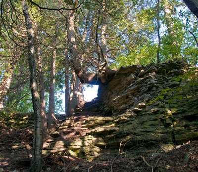 Топ-10: Мировые рекорды в медлительности Топ-10: Мировые рекорды в медлительности