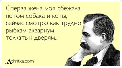 Прикольные аткрытки для настроения (37 шт) Прикольные аткрытки для настроения (37 шт)