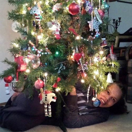 15 Самых уморительных фотографий риччинга