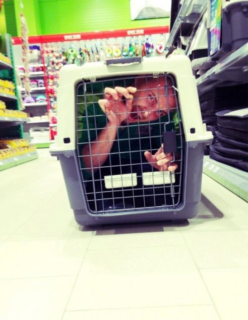 15 Самых уморительных фотографий риччинга