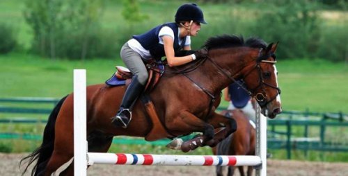 Топ-25 Самых дорогостоящих хобби