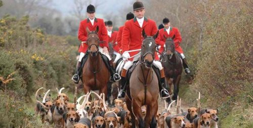 Топ-25 Самых дорогостоящих хобби