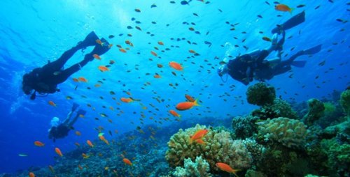 Топ-25 Самых дорогостоящих хобби