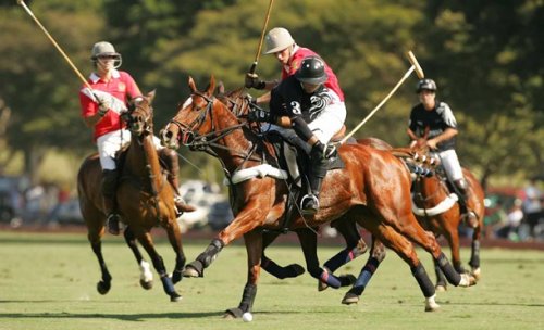 Топ-25 Самых дорогостоящих хобби