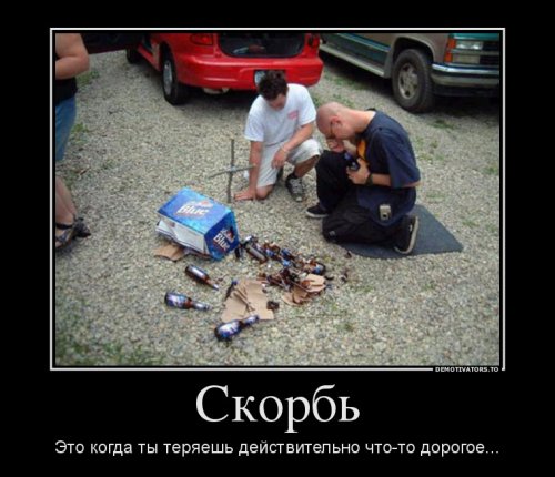  Свежие прикольные демотиваторы (12 шт) 