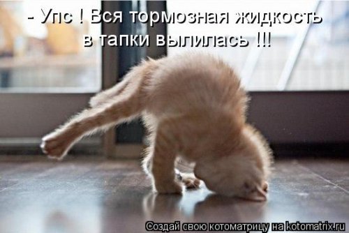  Новый сборник котоматриц (38 шт) 