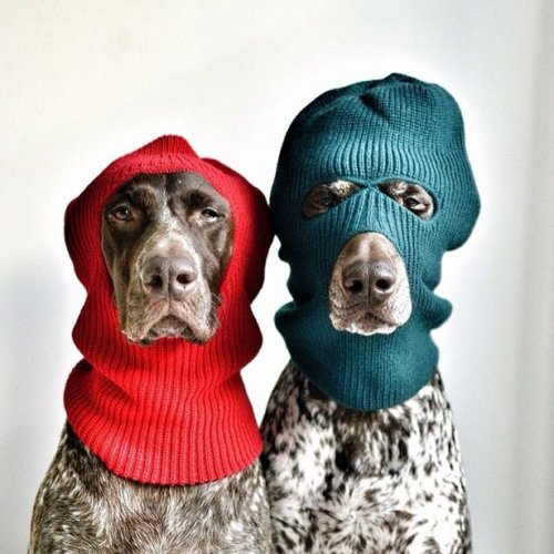  Красивые фотки (49 шт) 