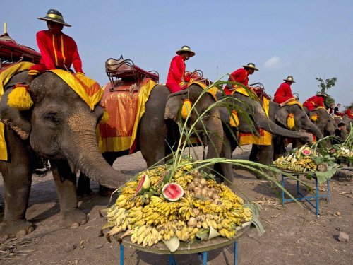 Национальный праздник Таиланда – День слона (9 фото)