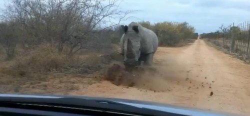  Лучшие неудачи недели 