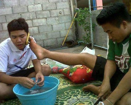 Лучшие друзья навеки (16 фото)