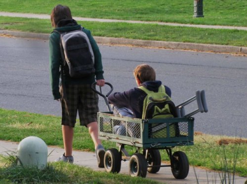 Лучшие друзья навеки (16 фото)