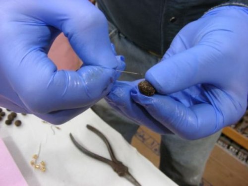 Бижутерия из необычного материала (8 фото)