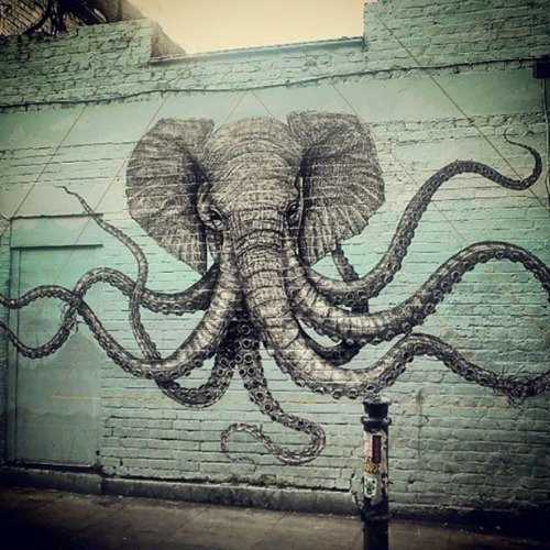 Прикольные фото и забавные картинки (41 шт)