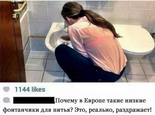 Прикольные фото и забавные картинки (41 шт)