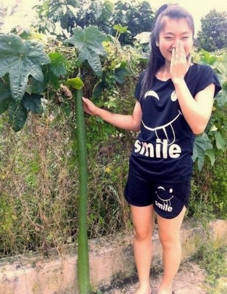 Тем временем в Азии (36 фото) Тем временем в Азии (36 фото)