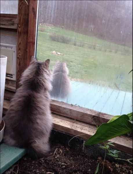 Прикольные совпадения (17 фото) Прикольные совпадения (17 фото)