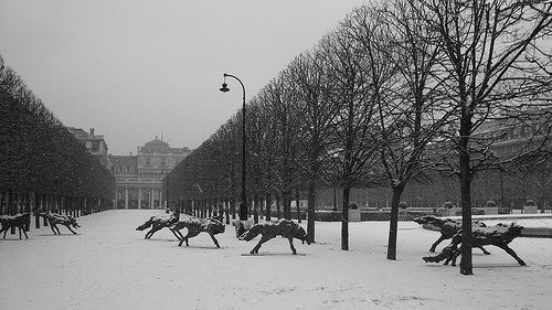 Топ-10: Удивительные вещи, которых вы не знали о Париже Топ-10: Удивительные вещи, которых вы не знали о Париже