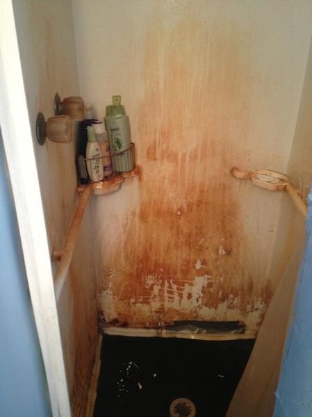 Пожалуй, я пас (24 фото) Пожалуй, я пас (24 фото)