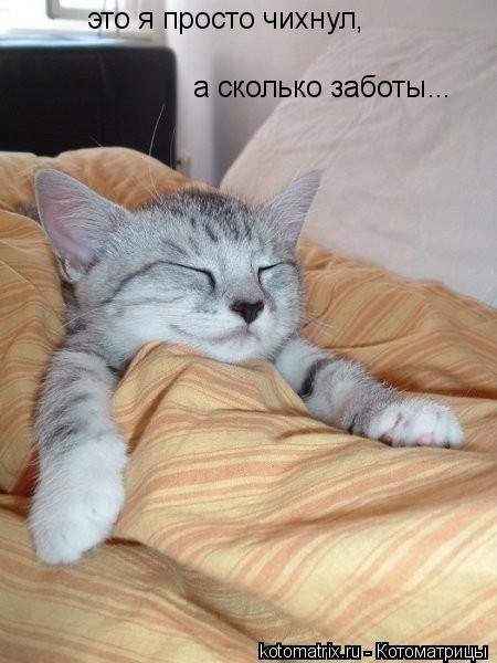 Новая котоматрица недели (34 фото) Новая котоматрица недели (34 фото)