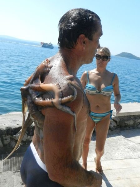 Пляжные будни в прикольных картинках (37 фото) Пляжные будни в прикольных картинках (37 фото)