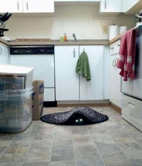 Фото приколы и позитивные картинки (34 шт)