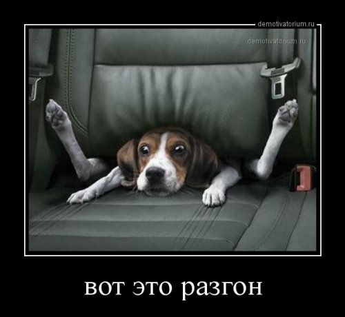 Свежие демотиваторы-приколы (25 шт)