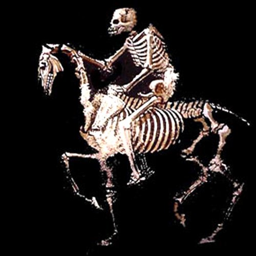 10 Необычных фобий, которые могут у вас быть