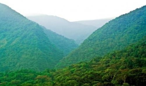 Топ-25 Удивительных историй выживания вопреки всему