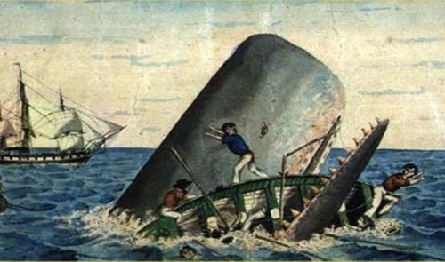 Топ-25 Удивительных историй выживания вопреки всему