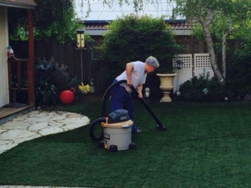 Странные женщины с пылесосом на улице (19 фото)