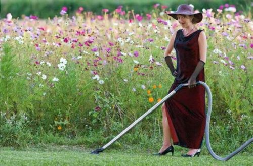 Странные женщины с пылесосом на улице (19 фото)