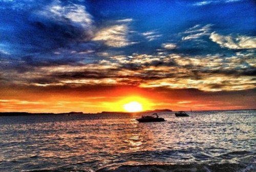 Instagram диджея Tiesto (31 фото)