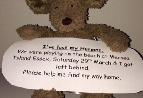 10 Удивительных воссоединений, случившихся благодаря Интернету