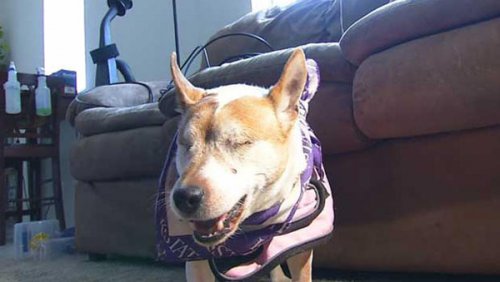 10 Удивительных воссоединений, случившихся благодаря Интернету