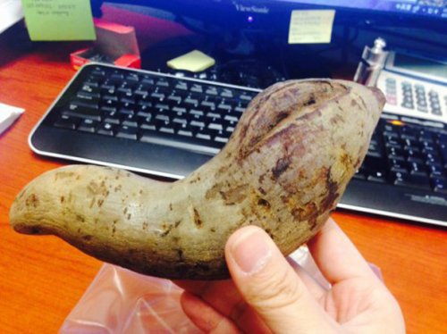 Самые унылые офисные обеды (27 фото)