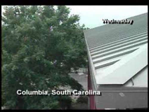 9 Странных происшествий, связанных с публичным сексом