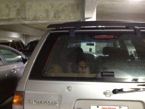 Пожалуй, я пас (24 фото)