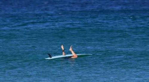 Пляжные будни в прикольных картинках (37 фото)