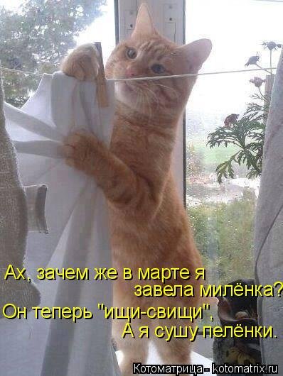 Котоматрица: лучшее за неделю (31 шт) Котоматрица: лучшее за неделю (31 шт)
