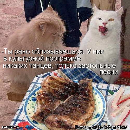 Котоматрица: лучшее за неделю (31 шт) Котоматрица: лучшее за неделю (31 шт)