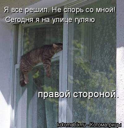 Новая котоматрица (33 шт) Новая котоматрица (33 шт)