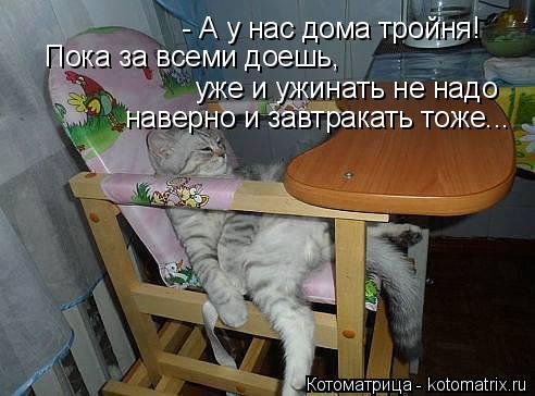 Новая котоматрица (33 шт) Новая котоматрица (33 шт)